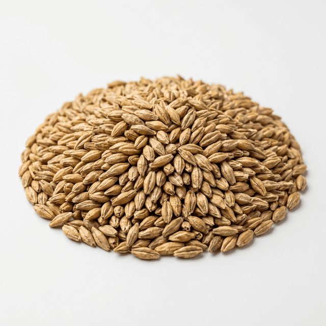 Barley