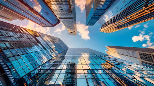 Star Araco Background