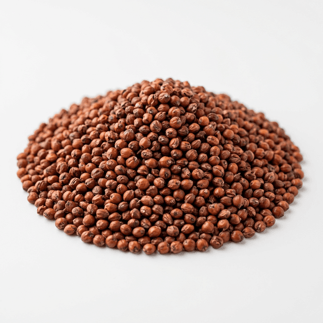 Red Sorghum